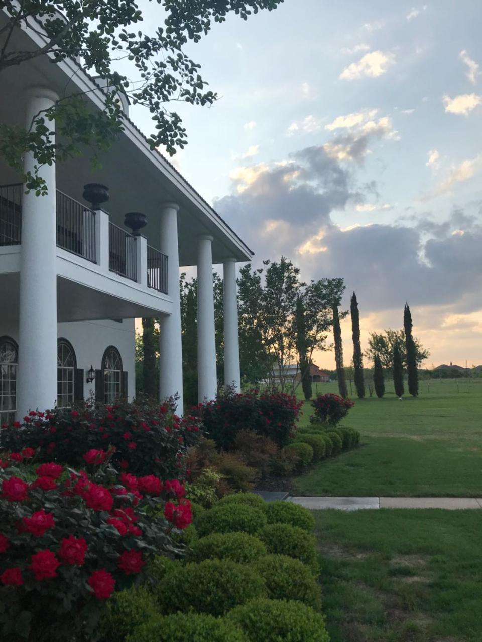 The Plantation House Boutique Inn フラッガービル エクステリア 写真